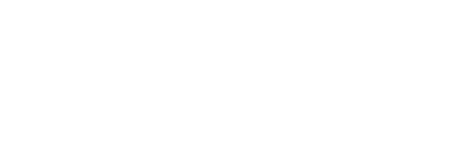Digital Dev